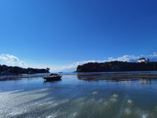 1605860700726021846.png image.png