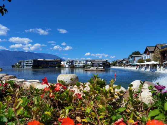 1605860717223033828.png image.png