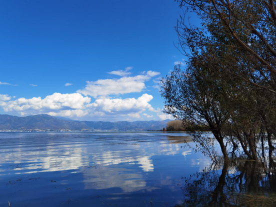 1605860752277056484.png image.png