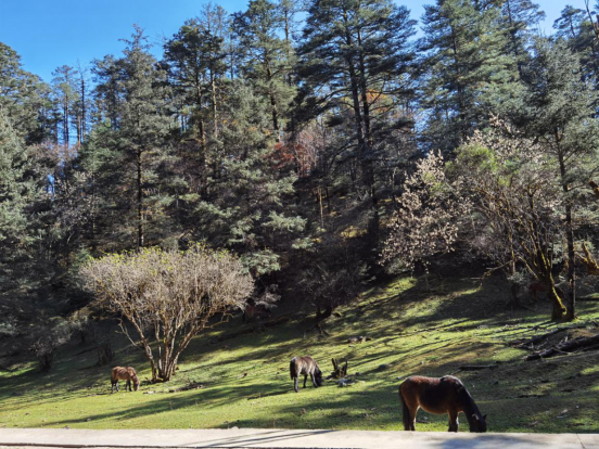 1605863550497026593.png image.png