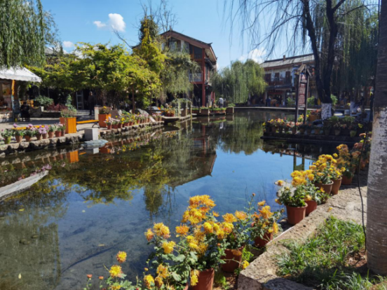 1605863917845090394.png image.png