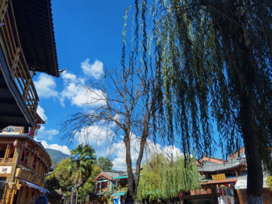 1605863929200017524.png image.png